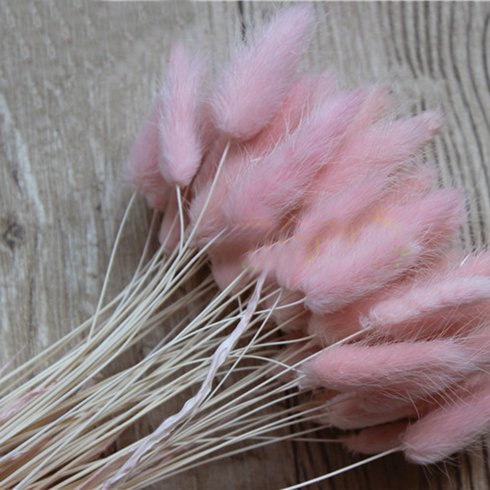 Dried Flower Bunch - 50 ชิ้นแห้งธรรมชาติช่อดอกไม้สีชมพู Lagurus ovatus ช่อดอกไม้ &