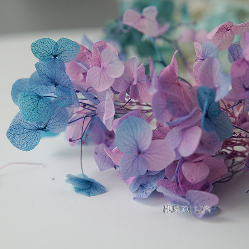Dried Flower Bunch - ดอกไฮเดรนเยียไล่เฉดสีแบบอบแห้ง สำหรับงาน DIY ทำช่อดอกไม้ ตกแต่งแจกัน งานแต่งงาน
