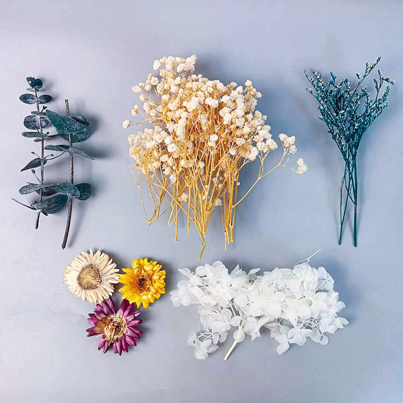 Dried Flower Bunch - ชุดดอกไม้แห้งหลากหลายชนิด 1 แพ็ค สำหรับงานฝีมือ DIY ตกแต่งบ้าน