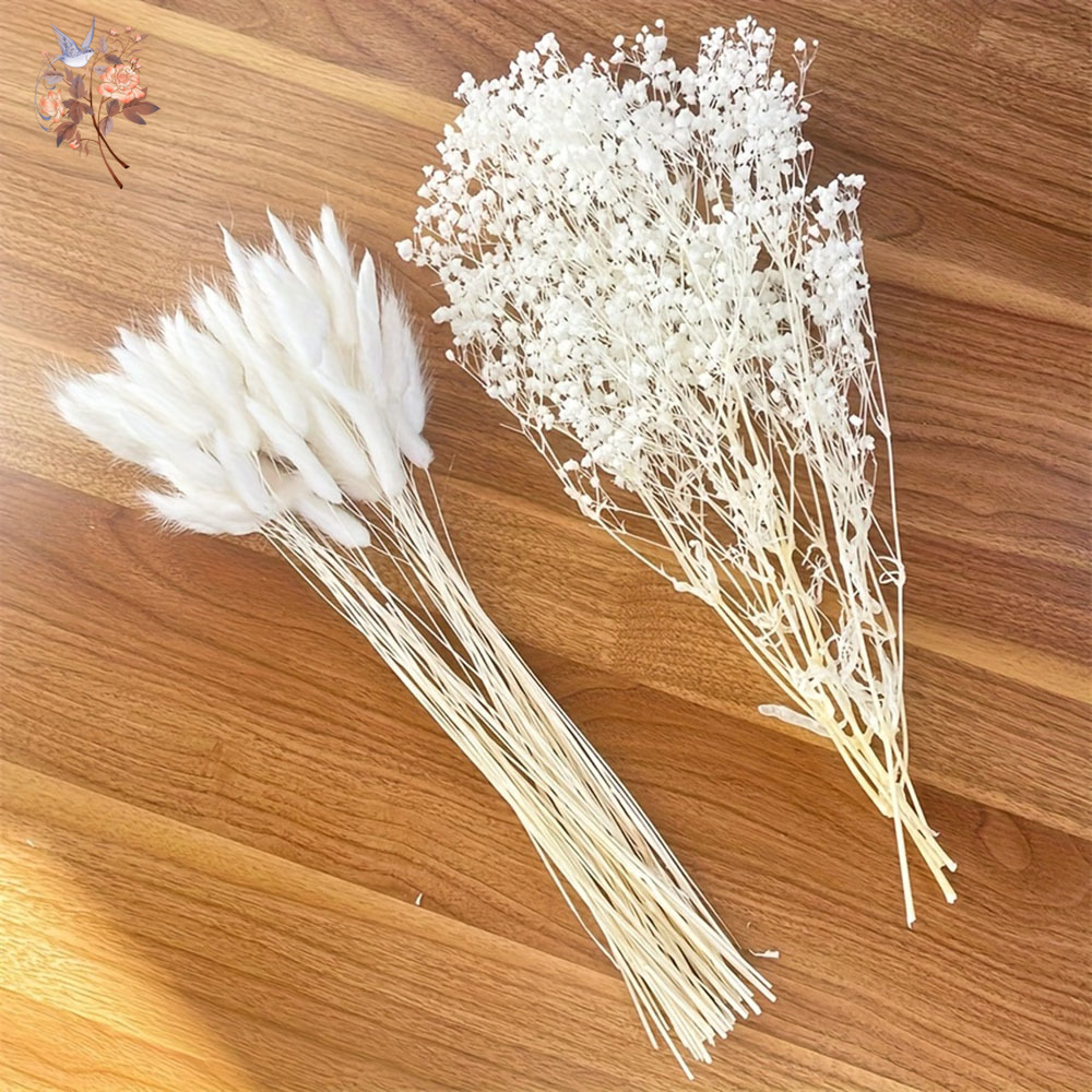 54 ชิ้นดอกไม้สีขาวเจ้าสาว Mari - Dried Flower Bunch บทวิจารณ์และราคา