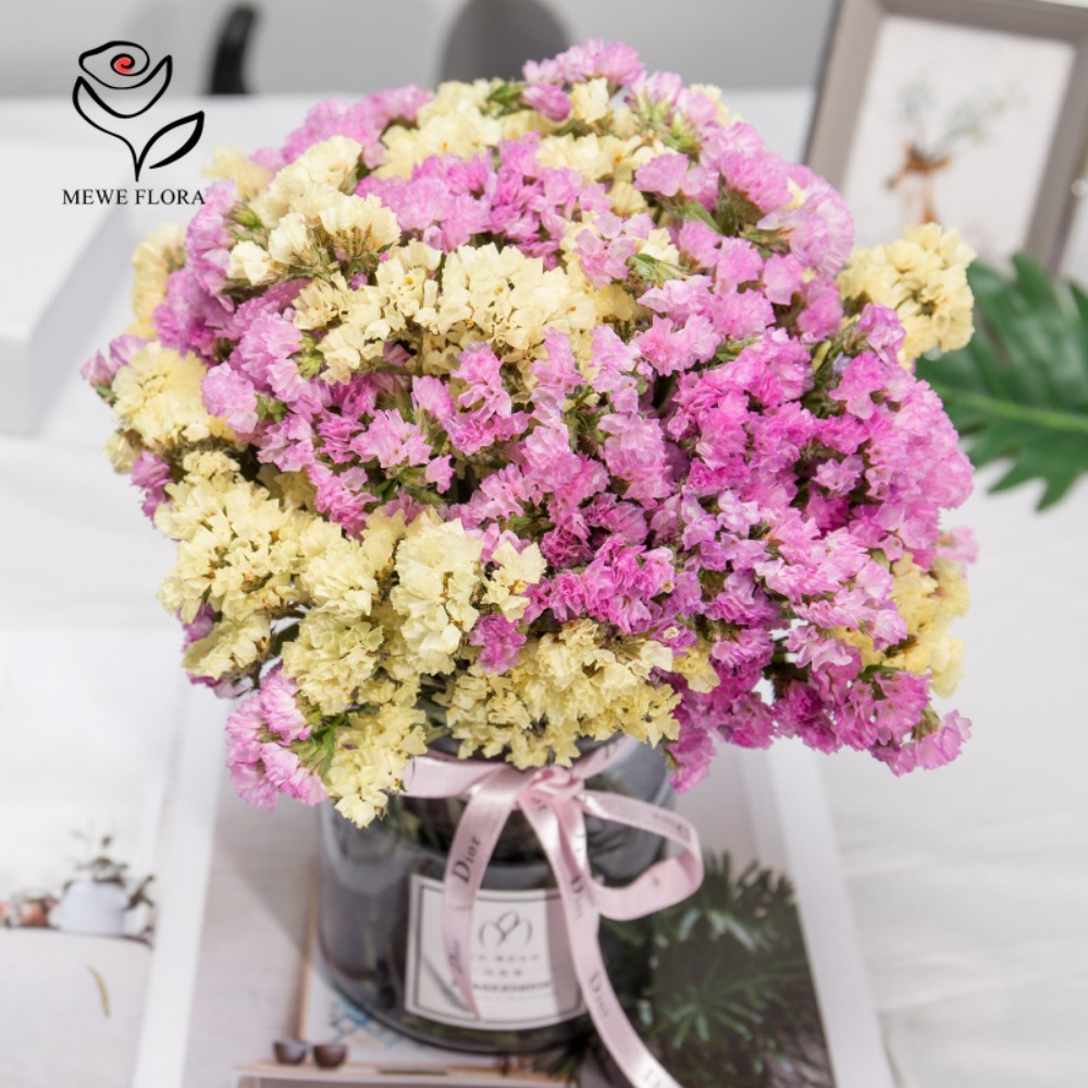 100กรัมแห้งลืมฉันไม่ได้ดอกไม้ม - Dried Flower Bunch บทวิจารณ์และราคา