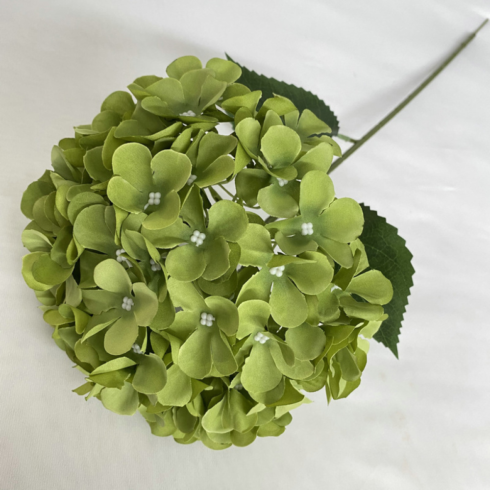 ดอกไฮเดรนเยียจำลองสำหรับตกแต่ง - Longs Florist Supply บทวิจารณ์และราคา