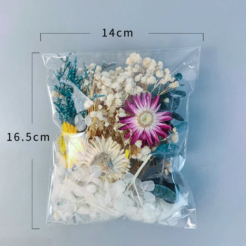 ชุดดอกไม้แห้งหลากหลายชนิด 1 แพ - Dried Flower Bunch บทวิจารณ์และราคา